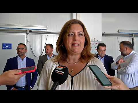 Vea el Informativo de Lancelot Televisión 29/07/25