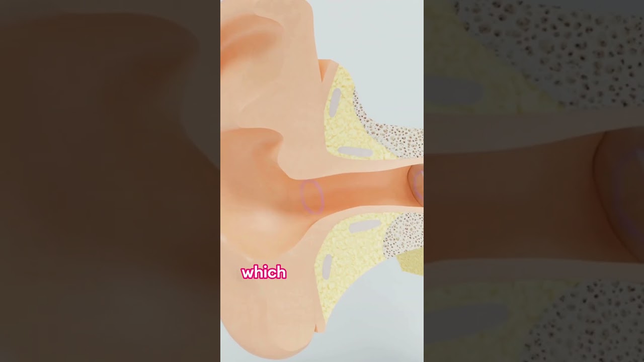 THREE types of HEARING loss