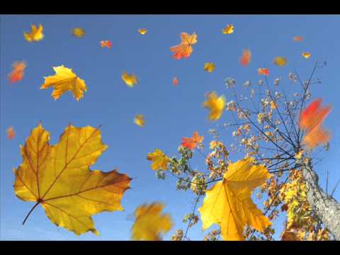 Snip Rackz feat. Enfold - Herbstwind (Acoustic)