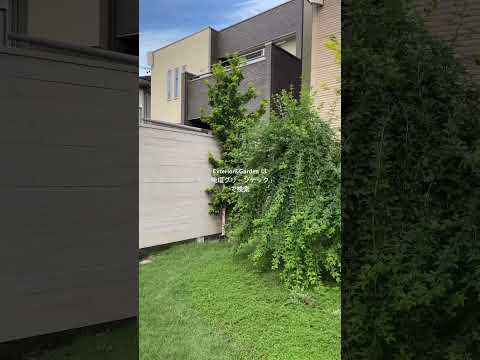 clôture bois composite-apparence-naturelle