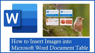 How to - Insert images into a Microsoft Word document table
