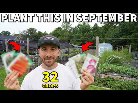 32 VEGGIES To Plant In September NOW For A Beautiful Fall Garden!