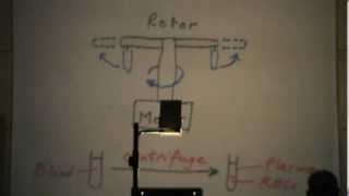 Dr.Rasheed [Intro & Amino acid] 01/12/2013