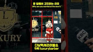 그녀가 항상 고민하는 이유?? #다낭이발소 #귀청소 #면도 #샴푸