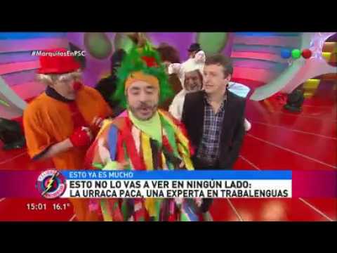 Socarrona y verborragia: La Urraca Paca - Peligro Sin Codificar 2017