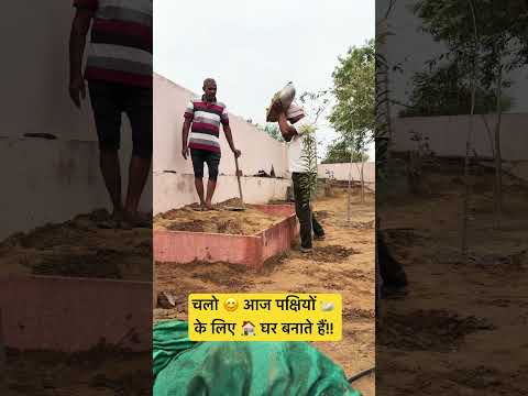 चलो आज पक्षियों के लिए घर बनाते हैं #earth #farming