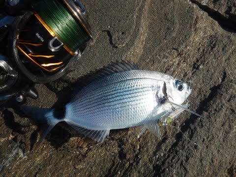 How to use DUO Bay RUF Manic Fish 88 & 99! + Awesome fishing scenes!