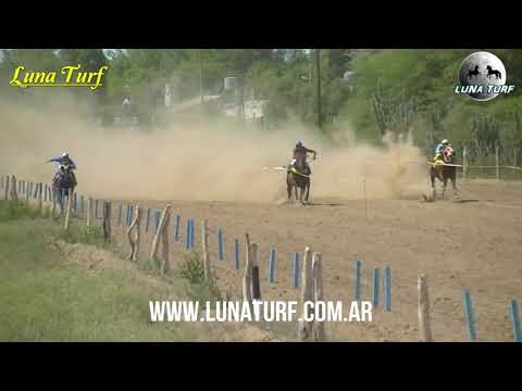 JOCKEY CLUB MILAGRO L.R. - 16/12/2018 - MARISCAL, NIÑA BLACK Y TUMBA LATA
