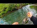 STREAMER FLY FISHING FOR GIANT BROWNS Best Day Of Trout Fishing