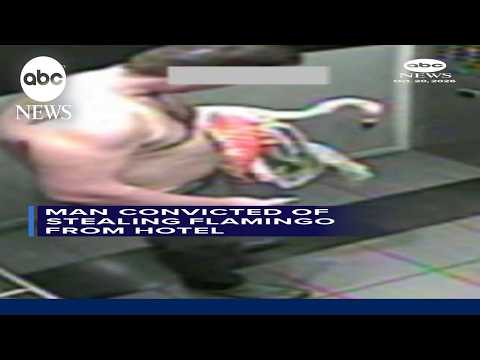 Man convicted of stealing flamingo from hotel