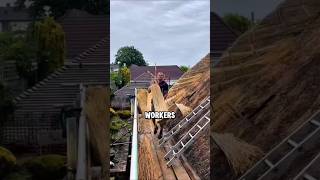 Download lagu Why Do Houses in Norway Have Grass Roofs? mp3 Download lagu Why Do Houses in Norway Have Grass Roofs? mp3