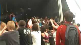 Guilfest 2008 - Cool Cats by Essay For The Ordinary