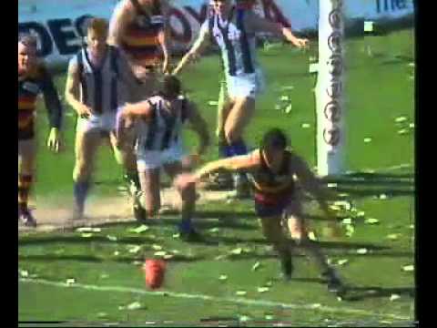 1991 AFL Season - Round 24 - Adelaide Crows v Nth Melb