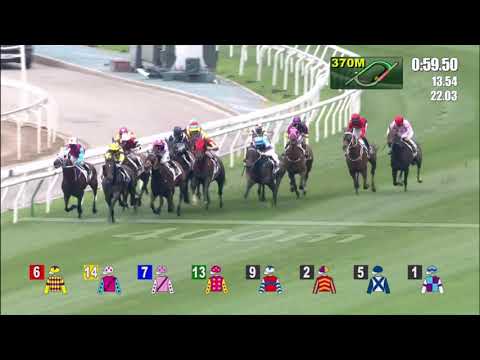 25/4/2021 (613) Hall Of Champ - B Shinn