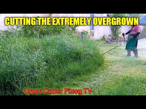 image-What is a grass cutter slang?