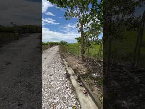 Se vende lote en Hacienda Nápoles, Doradal Antioquia