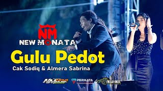 Download lagu GULU PEDOT - CAK SODIQ & ALMERA SABRINA - NEW MONATA LIVE PESISIR SELATAN SUMATERA BARAT mp3 Download lagu GULU PEDOT - CAK SODIQ & ALMERA SABRINA - NEW MONATA LIVE PESISIR SELATAN SUMATERA BARAT mp3