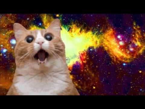 Borgore & Sikdope - Space Kitten Invasion (HD)