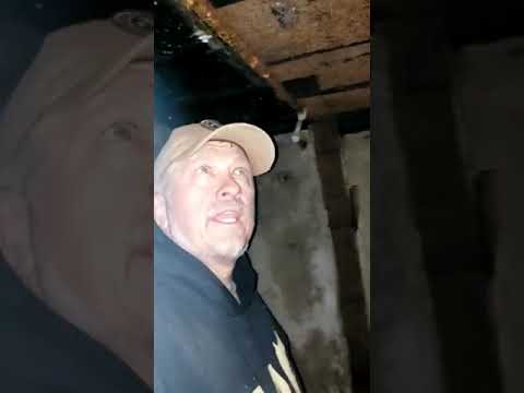 Basement Suprise