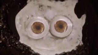 &quot;Molly&quot; by Palehound