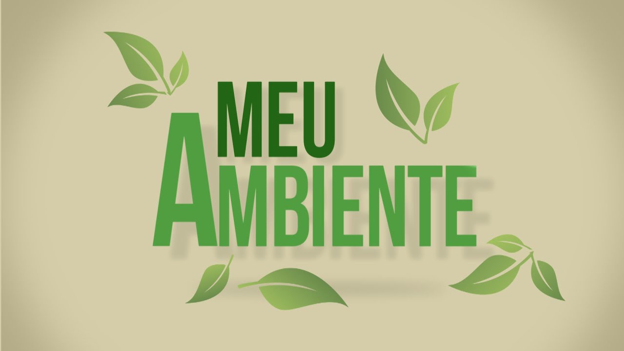Meu Ambiente : Ideias Sustentáveis II 28/02/2016