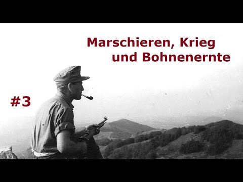 Marschieren, Krieg und Bohnenernte - Tagebuch eines Feldwebels Teil 3