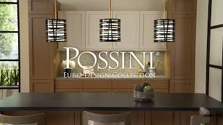 Watch A Video About the Possini Euro Cassia Antique Brass Gloss Black Mini Pendant