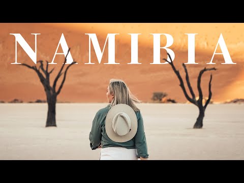 我的那密比亞之旅｜野生動物園、沙漠和海岸 (My Trip to Namibia | Safari, Desert, and Coast)