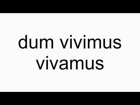 How to pronounce dum vivimus vivamus