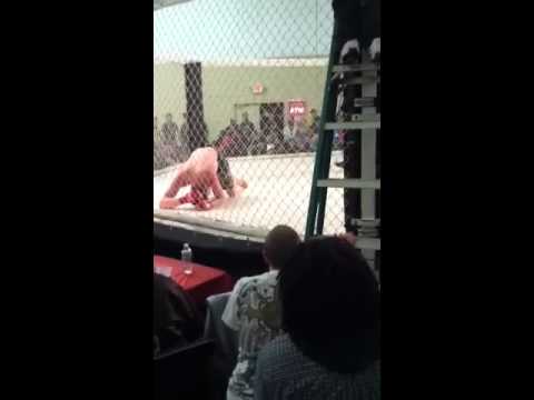 Travis Bazzani MMA fight