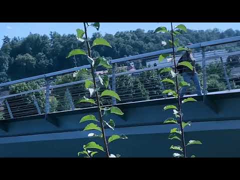 FITIM BAJRA - PËRFUNDOJ 💔