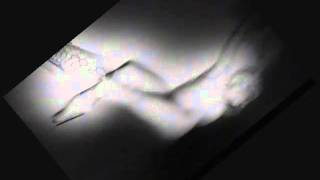 Etant Donnes + Genesis P-Orridge - At Last