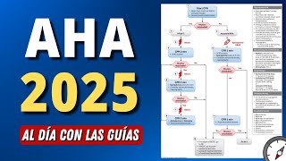 Nueva Guía de Reanimación AHA 2025 | ALS / BLS #aldíaconlasguías