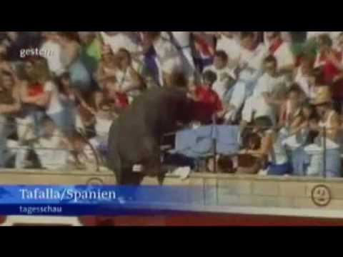 Stierkampf Bulle im Publikum.wmv