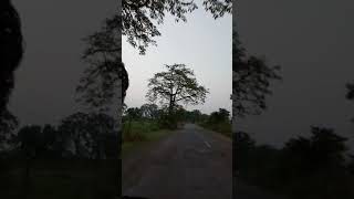 preview picture of video 'Dudha national park'