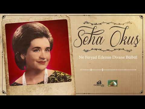 Seha Okuş - Ne Feryad Edersin Divane Bülbül (1963)