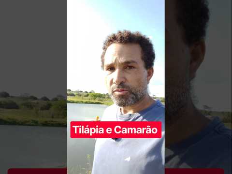 Criação concorciada  #vidanaroça #sitio #paraiba  #pescaria#agricultura