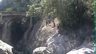 preview picture of video 'clavados en el rio cuichat taxipehuatl (cuetzalan puebla)'