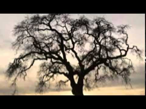 ATMADEEP BHATTACHARJEE Own Composition(Bengali)