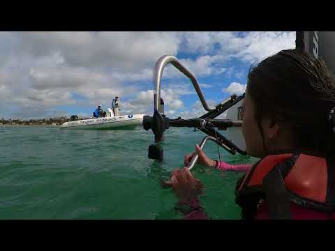 WASZP training at Manly