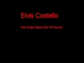 Elvis Costello Your Angel Steps Out Of Heaven + Lyrics