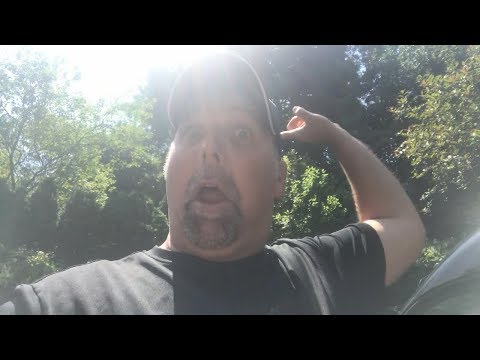 What maintenance should be done to your fish/koi pond or water feature during the summer?