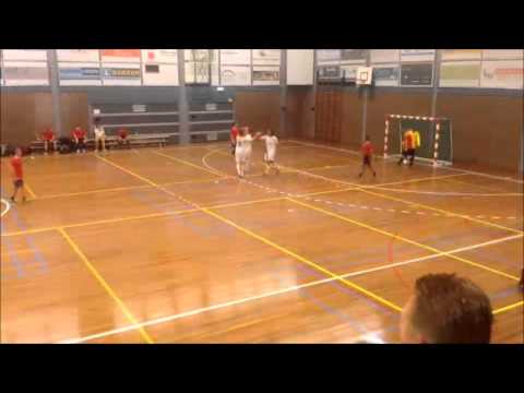 Samenvatting Hovo 4   Hovocubo 3