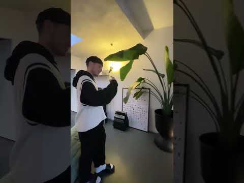 1-Zimmer-Wohnung einrichten: Loft-Ideen für kleine Räume 🤩