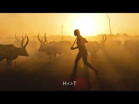 Jaguar Paw ft. Idd Aziz - Amina (Vida-soul Remix)