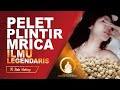 Ilmu Pelet Plintir Merica Sangat Ampuh Dan Legendaris