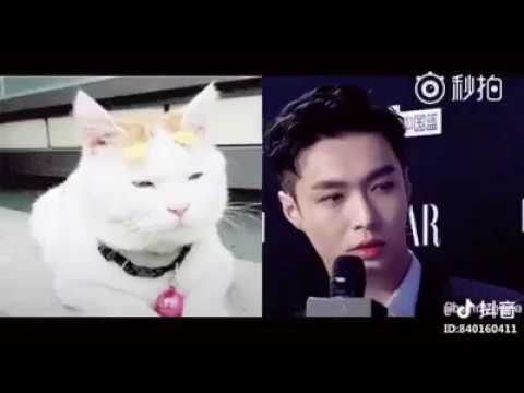 180517 ZHANG YIXING 张艺兴 LAY-- as animal.😍 😂😚