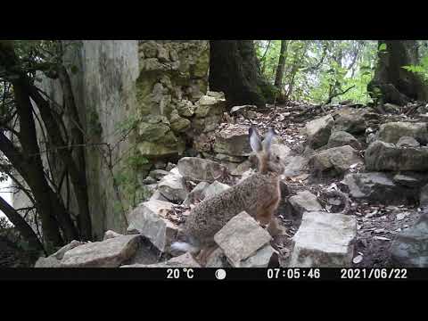 No borders in Sesto Fiorentino