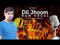 Dil Jhoom | Hindi Song | Gadar 2 | Arijit Singh | AMS MUSIC