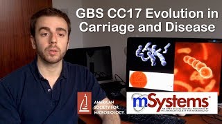 GBS CC17 Evolution in Carriage and Disease - mSystems®